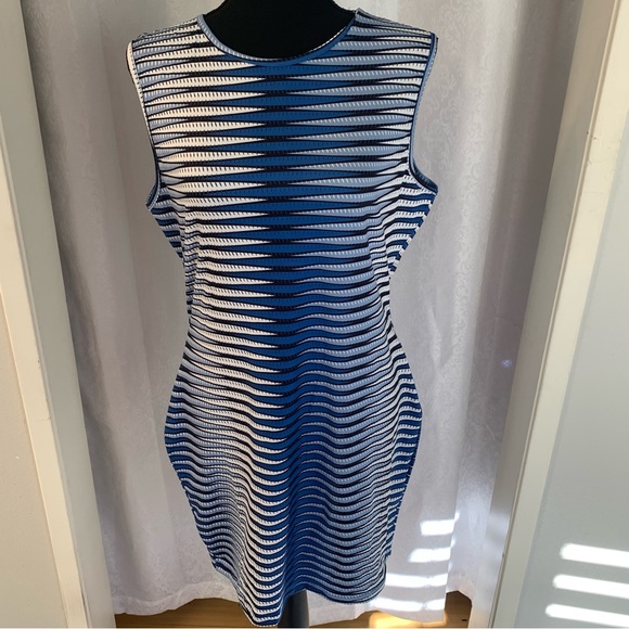 SHEIN Dresses & Skirts - SHEIN Stretch Dress Sz: L